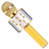 Wireless Bluetooth Home KTV Singing Microphone and Speaker - Model 858