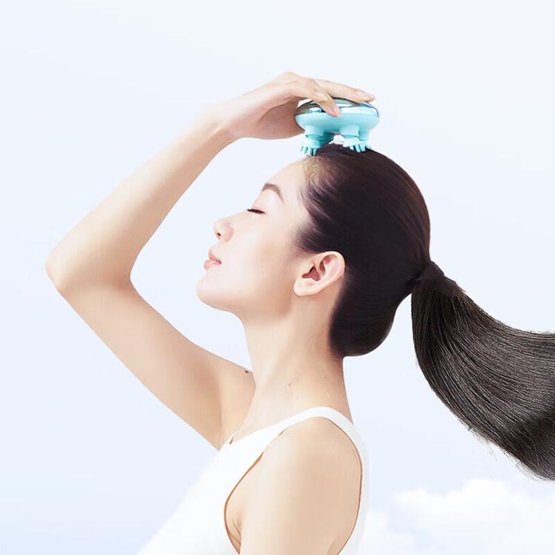 Ogawa Portable Wet & Dry Smart Head Massager
