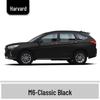 Haval H6 Cool Dog Touch-Up Pen, Black Spot & Ruixue White Scratch Repair Paint