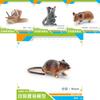 Kinder PVC Hamster Schnecke Gleitbeutler Tier Modell Display Für Bildung Und Sammlung