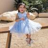 Flower Girl Baby Wedding Dress Fairy Petals Children's Clothing Girl Party Dress Kids Clothes Fancy Teenage Girl Gown 0 1 2 3 Years