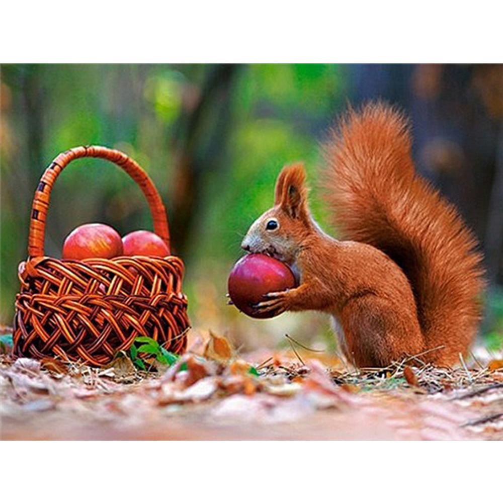 

5D алмазная живопись Белка полная квадратная Новое поступление Алмазная вышивка животных вышивка крестиком ремесло подарок ручной работы Full Round 40X50CM розы красного