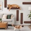 Wear Resistant Cat Scratch Board Self Adhesive Cat Scratching Stick  Kitten Toy