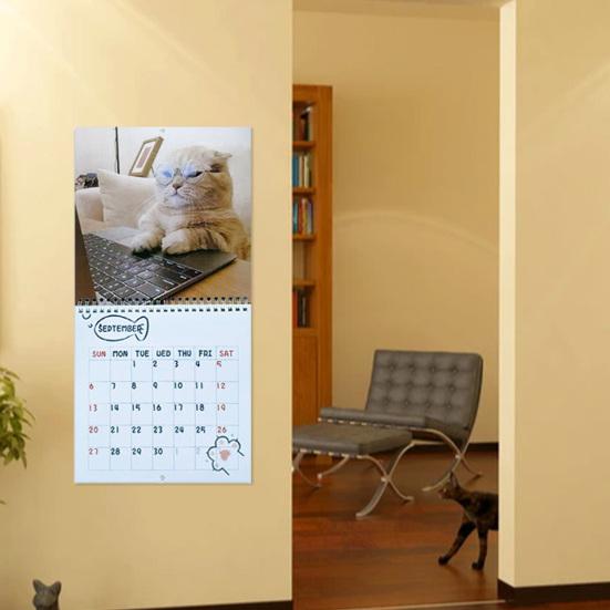 Unreasonable Cat Calendar 2026 Jan.2026 - Dec.2026 12-Month Calendar Funny Kitten Wall Planner for Home Office Decoration