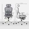 Multi-Adjustable Mesh Office Chair - Grey and White