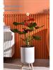 Tall Indoor Self-Watering Plastic Planter with Stand - Large Size, Breathable for Balcony Gardening