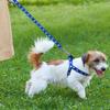 Cute Paw Print Step Dog Harness and Leash Set Nylon Adjustable Dog Harness Walking Leash Strap for Small Medium Dogs