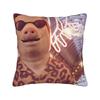 Dekoratiivsed padjakatted John Pork is calling Merch Kodu Padjapüür Kate Dropshipping Mitu suurust