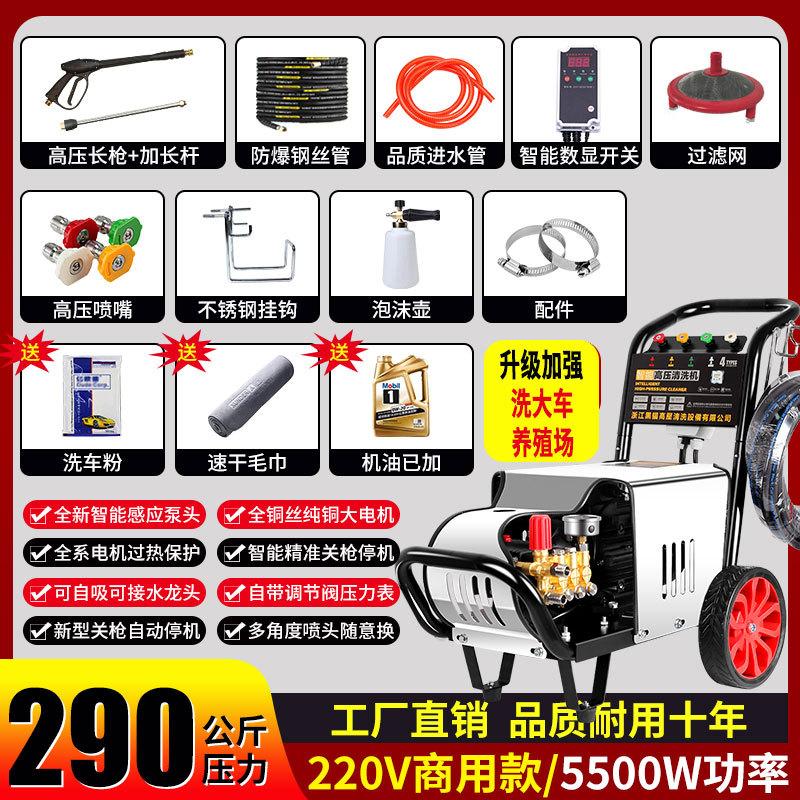 Black Cat Duke Commercial High-Pressure Washer CN plug (adapter included)