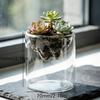 Glass Terrarium For Mountain Views Moss Planter Hydroponic Plant Container Multifunctional Cup Home Decoration Great Gift