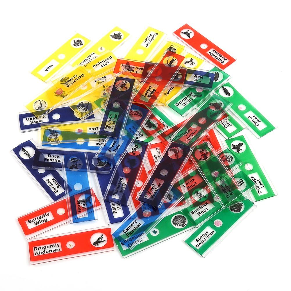  lantern slides, 4 Boxes Prepared Microscope Slides Animals Plants Flowers Sample Specimens(Red, Yellow, Blue, Green 12pcs box), Slides