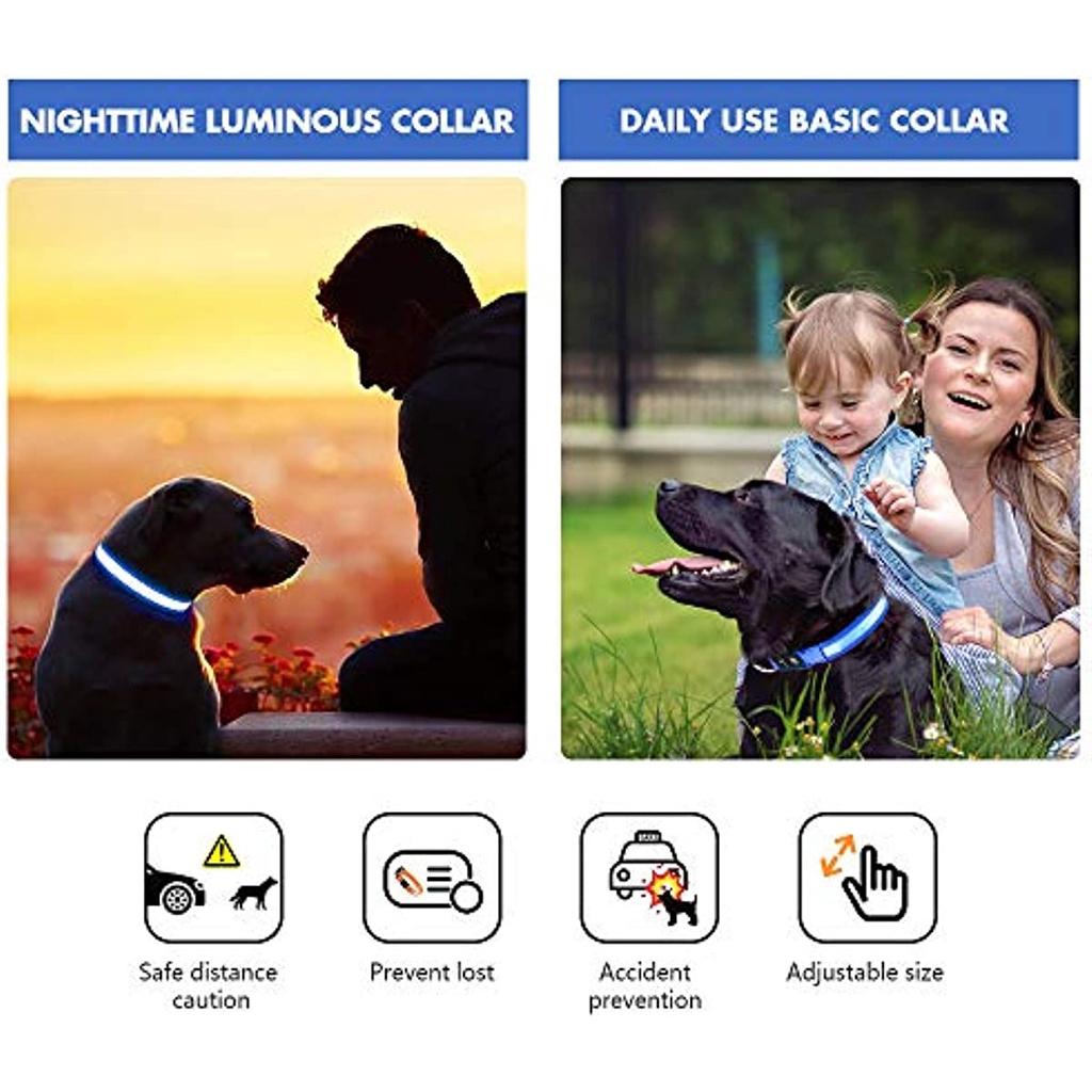 Oplaadbare LED-hondenketting / halsband, perfect voor honden, huisdieren - 100% waterdicht – koop de beste producten in de online winkel