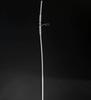 White Plastic Tube Rig Holder with Hooks and Line for Boat Fishing