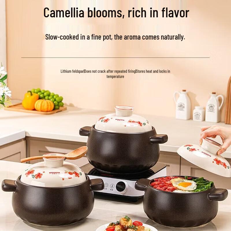 Oumeida Multi-Purpose High-Temperature Ceramic Clay Pot