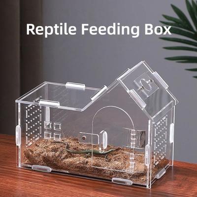 Durable Acrylic Reptile Habitat Anti-Escape Ventilated Lizard Breeding Box Clear Arboreal Spider Feeding Case Small Pet Supplies
