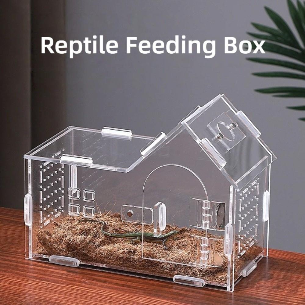 New Acrylic Reptile Habitat Clear Ventilated Lizard Breeding Box Arboreal Anti-Escape Reptile Terrarium Small Pet Supplies