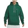 Nike Solo Swoosh Hoodie DX1356-323