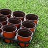 1PC Growing Seedling Hole Tray Phalaenopsis Tray 12-hole Flower Seedling Pot Bracket