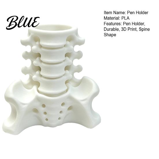 Creative Spine Pen Holder Simulated Holder, Skeleton Desktop Organizer, Durable Scientific Desk Ornament PLA 3D Printed Anatomy for Home Office