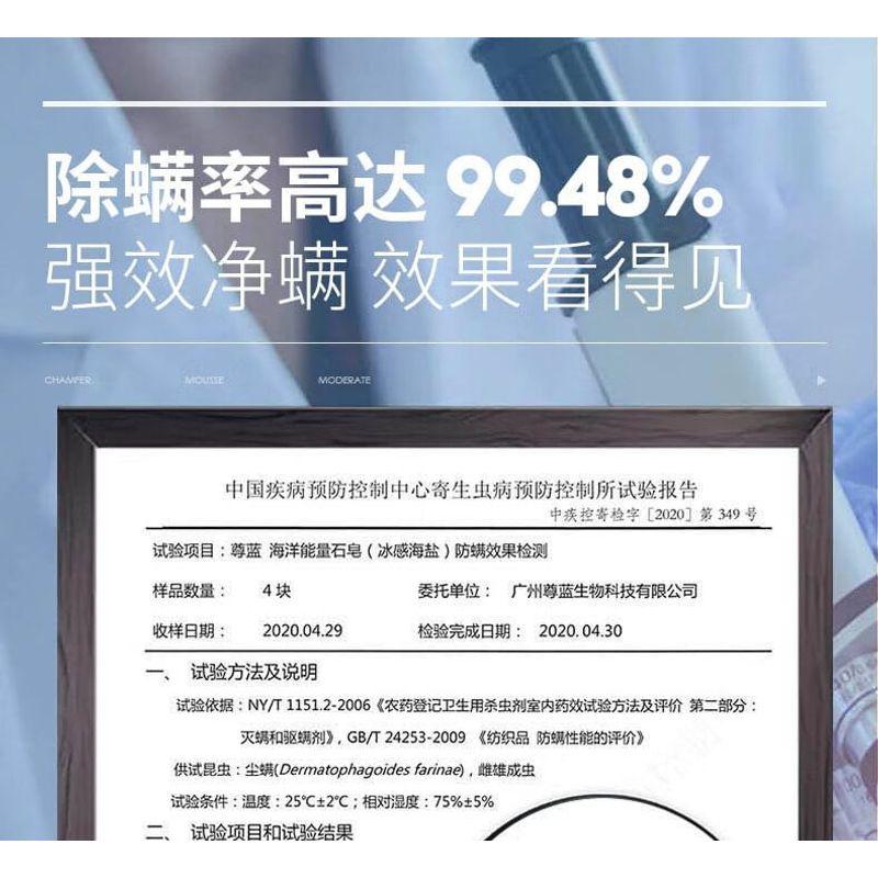 BLUEMAN - Ocean Energy Stone Soap