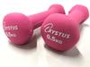 TOEI LIGHT Rubber coat dumbbell 0.5 H9054 0.5kg 2 pieces