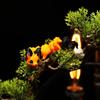 Printed 3D Small Animal Fox Model Figure Toy Creative Pla Realistic-Looking Animal Ornament Movable Flexible Mini Leopard Cat Toy