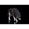 BACALYSO 1/6 Coyote Wolf Figure 20cm PVC Realistic Animal Model Painted Finished Product 126B