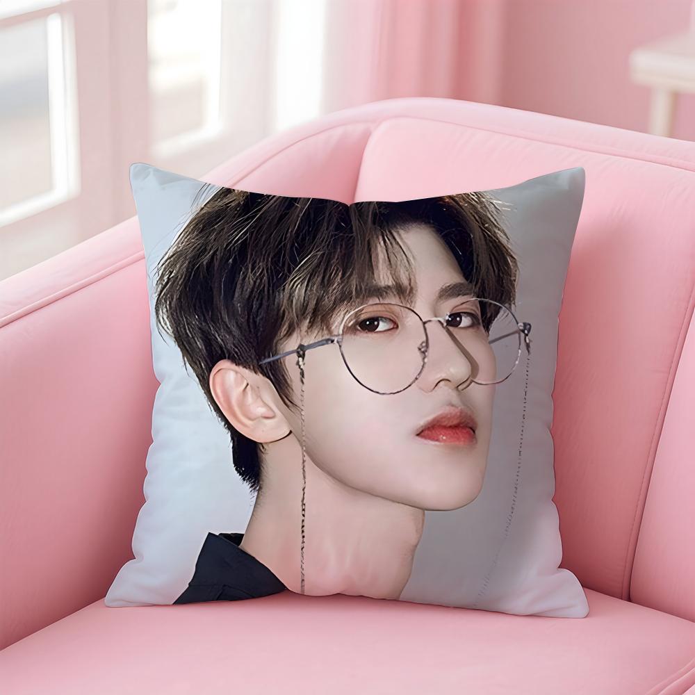singer trendy CCai Xukun Cushion Cover Pillow Case Soft Skin Friendly Fabric  Concealed Zipper