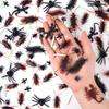 5 buc Jucării Amuzante Simulare Insectă Gândac Păianjen Centiped Scorpion Plastic Insectă Glumă Recuzită Amuzante Înfricoșătoare pentru Copii TMZ