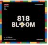 PEACEMINUSONE x OXFORD 818 BLOOM Building Block Set by G-DRAGON | Official Limited Edition Collectible