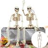 Halloween Decorations Skeleton,Posable Human Shape Skeleton,Halloween Fake Bone Horror Decoration