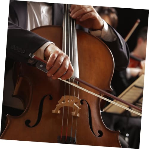 ULDIGI Cello Bow, Tororoche, Musical Bow, Tuner, Cello Stand, Cecilio, Cello Accessories, Selection Subjects, Horsetail Hair, Child, Guitar