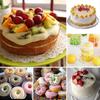 12PCS Round Circle Pastry Cutters Kitchen Cookie Cutters for Cookies Sugar Paste Cakes Biscuit Cookie Cutter