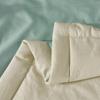 Aiyi Yaoxuan Kleihon Antibacterial All-Season Quilt