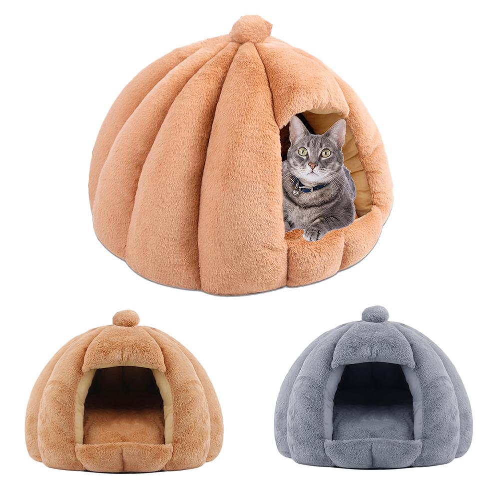 cat bed price