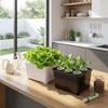 6 Holes Soil-Free Planting Box Plastic Nursery Pots Versatile Cultivation Box  Indoor Gardening