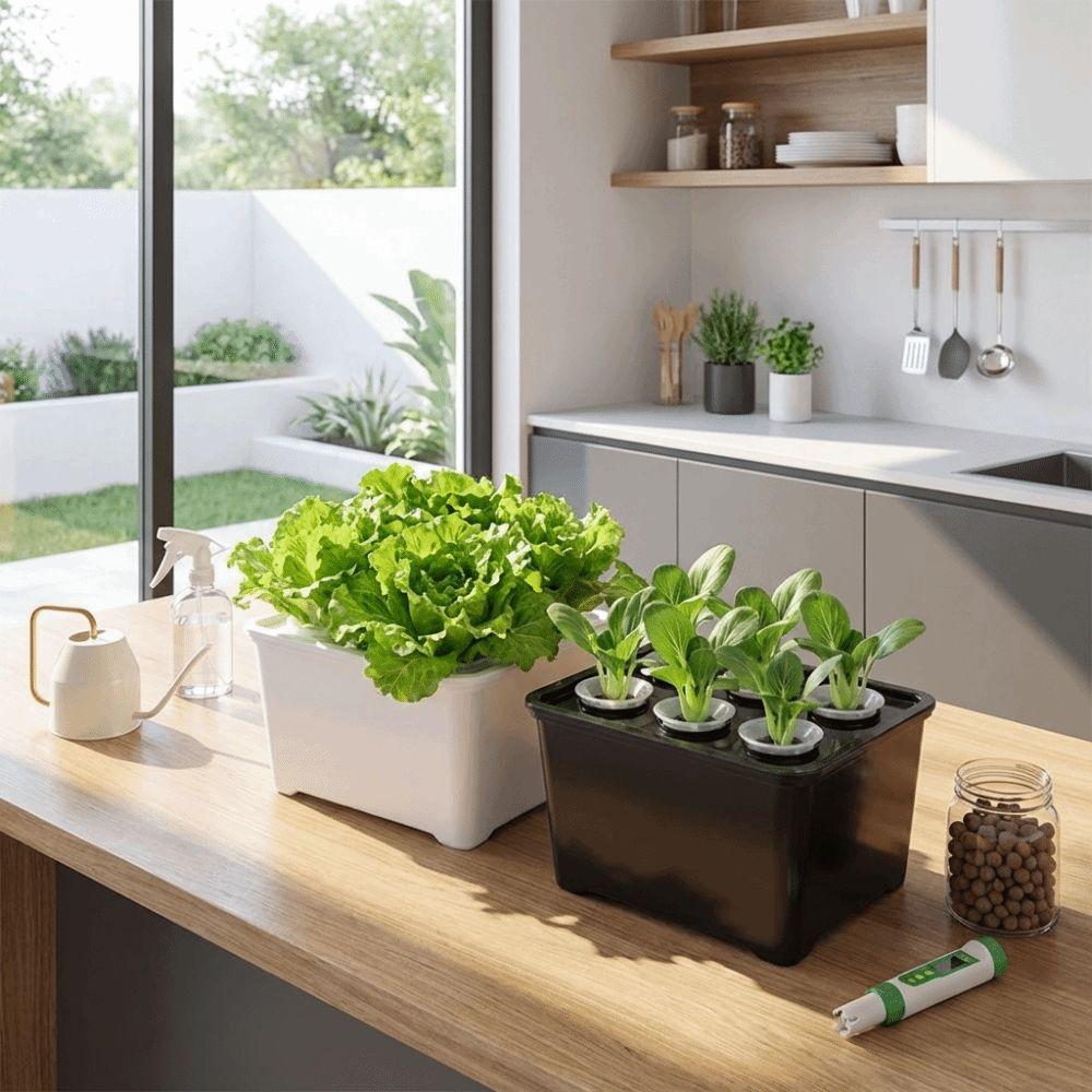 6 Holes Soil-Free Planting Box Plastic Nursery Pots Versatile Cultivation Box  Indoor Gardening