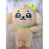 Plush Kawaii Cartoon Jang Won Young Plushies Doll Cute Stuffed Toys Pillows Home Decoration Gifts