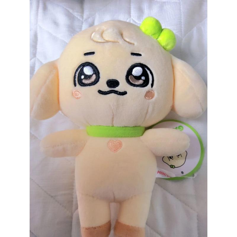 Plush Kawaii Cartoon Jang Won Young Plushies Doll Cute Stuffed Toys Pillows Home Decoration Gifts