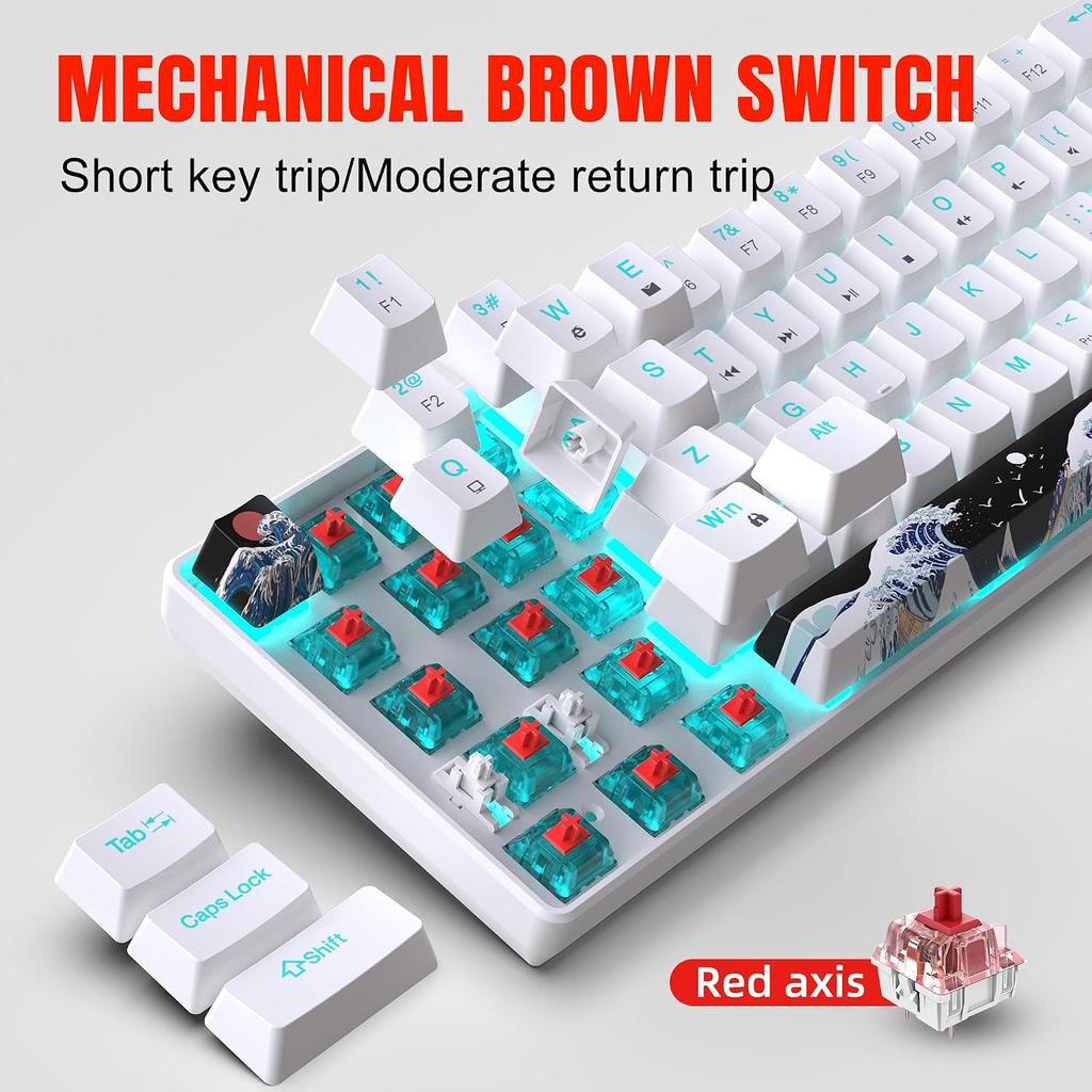 68 Keys 60% Mechanical Gaming Keyboard Hot Swappable Blue Switch Ice Blue Backlight Detachable USB-C Cable For Windows Mac Linux