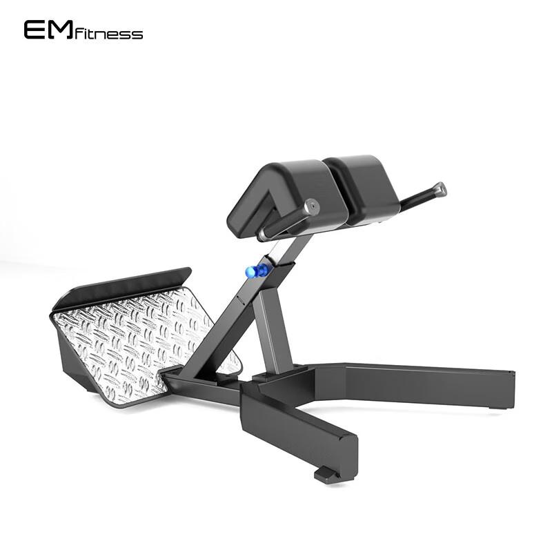 Yimai EM1046 Commercial Roman Chair Strength Trainer