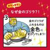 Golden Gorilla Hitomi Omelet 13 x 18 compatible with all heat sources and by Doshisha Pan, cm, (induction gas), brown,