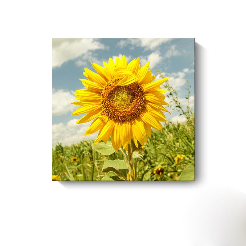 Moderne Sonnenblumen-Leinwandmalerei, nordische Landschaft, HD-Bilder, Blumenplakate und -drucke, Wandkunst, Bilder, Wanddekoration, kein Rahmen