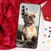 French Bulldog Dog Pug Funda For Samsung Galaxy A54 A34 A14 A13 A23 A33 A53 A73 A12 A22 A32 A52 A51 A71 Case