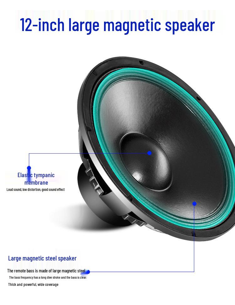 12-Inch Portable Bluetooth Speaker with High Volume for Outdoor Events and Karaoke