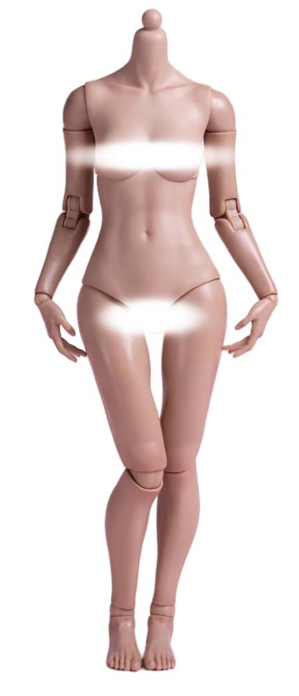 HiPlay Worldbox 1/6 Scale Female Body, Super Articulated Figure Doll (Standard Body Type AT201 (Suntan Skin)) (Suntan Skin)
