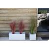 Planter Box - EDA - Graphite Up - 57 L - Indoor/ Outdoor - Graphic Decor - 79.5 X 29.5 X H. 29,5 Cm - Limed White