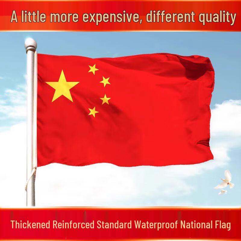 Adjustable Stainless Steel National Flagpole Kit