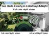 AI Smart Bird Feeder with Camera & Solar Panel