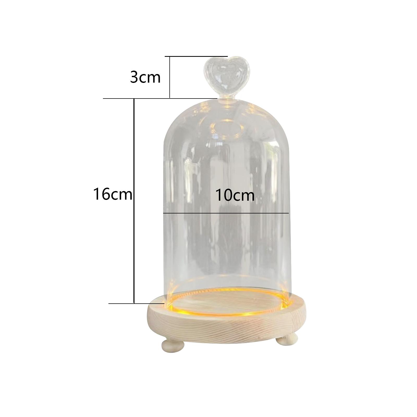 

Clear Glass Cloche Dome Wooden Base Terrarium Eternal Flowers Glass Domes Showcase Transparent Dome Cloche Heart